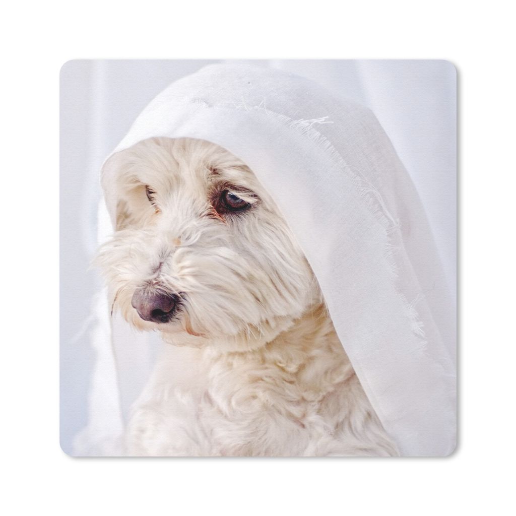MuchoWow Mauspad Mousepad Ein weißer Malteserhund schaut aus dem Fenster 20x20 cm - Mousepads - Maus Mat - Pad - Mausunterlage - Desk Mat - Bure...