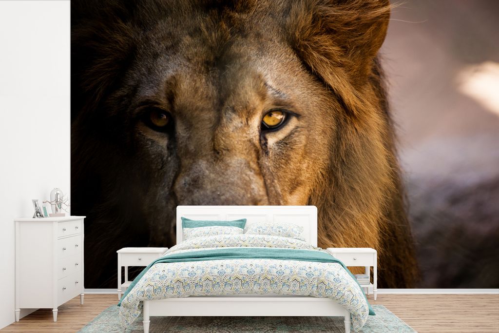 MuchoWow Fototapete für Wohnzimmer oder Schlafzimmer Wandtapete Vinyl Motivtapete Löwen - Profil - Farben - 360x240 cm - Vinyl-Tapete