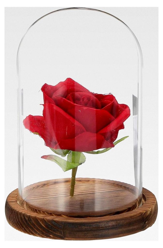 Glasglocke Ausstellungsdom 15 x 9 cm mit Holzsockel für Dekoration und Präsentation