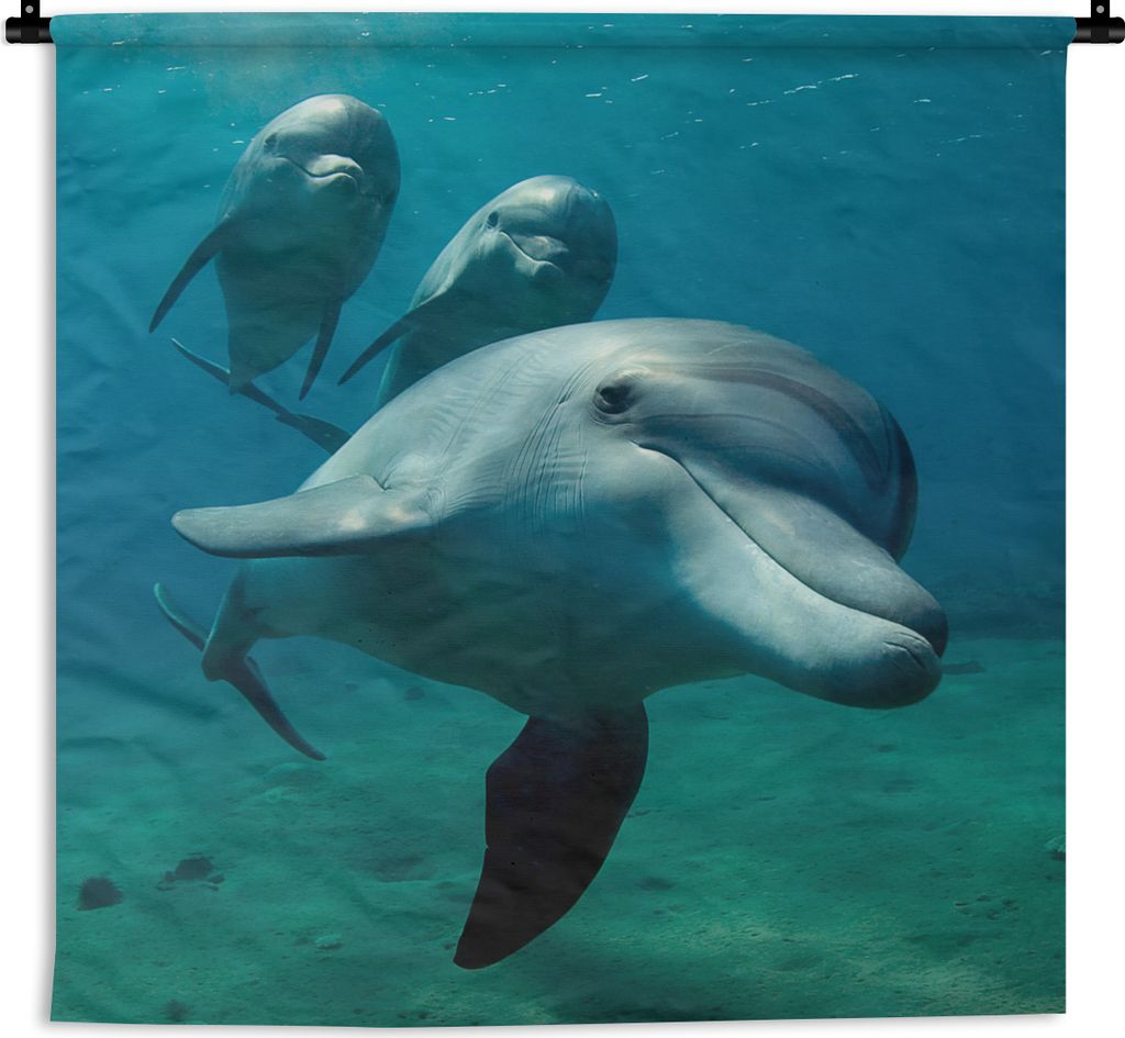 MuchoWow Wandteppich Wandbehang Wasser - Delphin - Blau 60x60 cm Tapisserie Dekoration Wandtuch - Dekorationen - Wand Decke