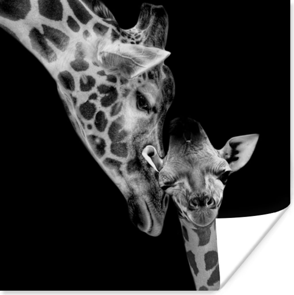 MuchoWow Poster Porträt - Giraffe - Tiere - Schwarz - Weiß 100x100 cm - Babyzimmer