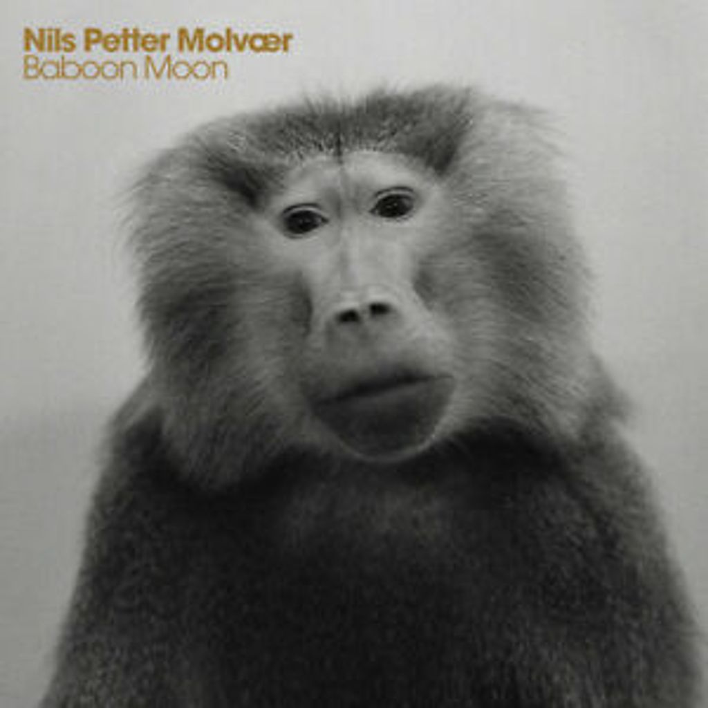 Molvaer, Nils Petter : Baboon Moon CD