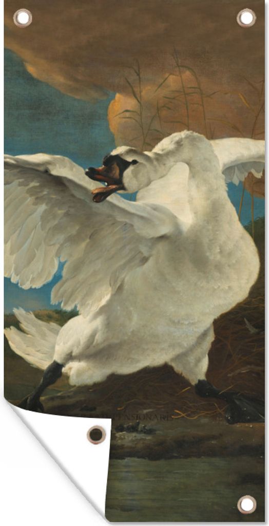 MuchoWow 40x80 cm Outdoor-Poster Gartendeko Sichtschutz Garten Poster für den Garten Der bedrohte Schwan - Gemälde von Jan Asselijn