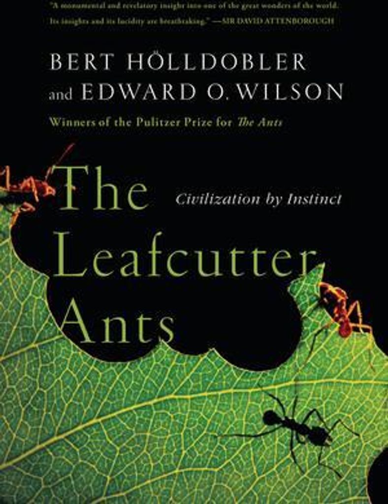 Leafcutter Ants – Lingua: Inglese