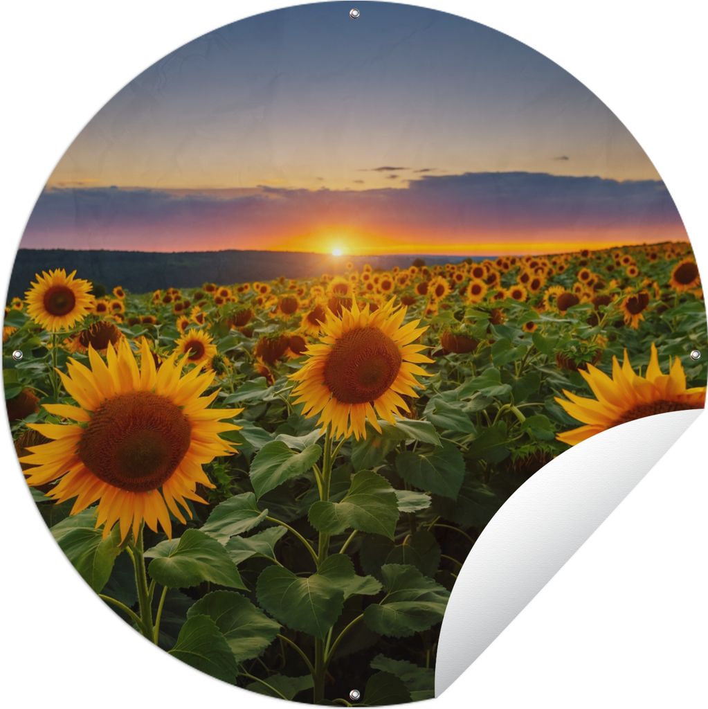 MuchoWow Gartenposter Outdoor-Poster Rund Blumen - Nacht - Sonnenuntergang - Sonnenblume - Horizont Ø 120 cm Gartendeko Rundes Poster draußen