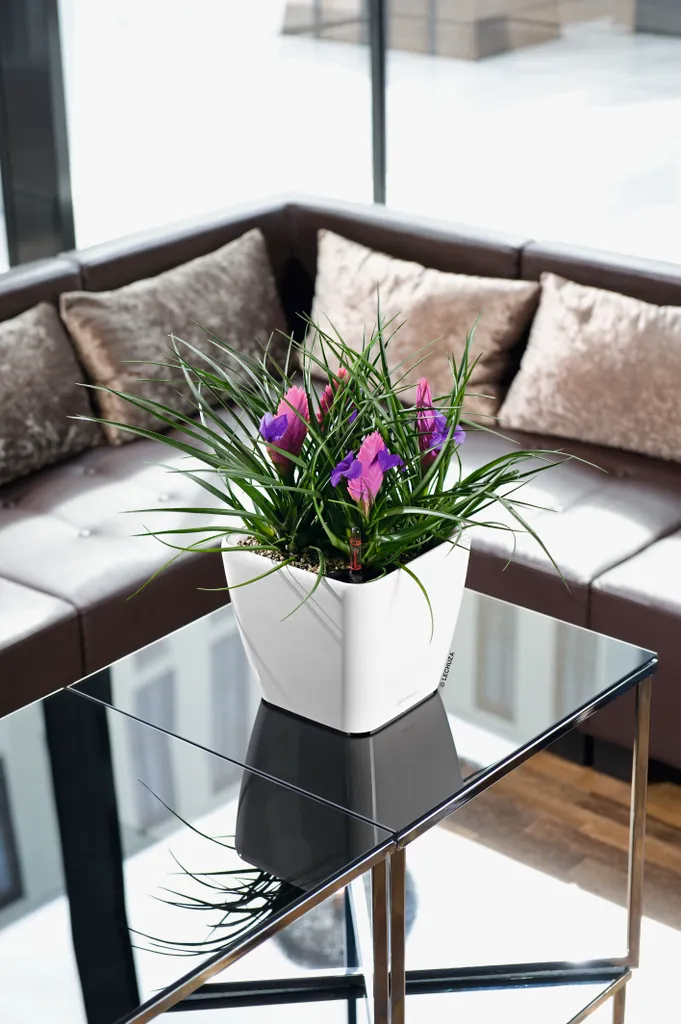 Bac à Fleurs Design pour Intérieur avec Réserve d'Eau Blanc Brillant
