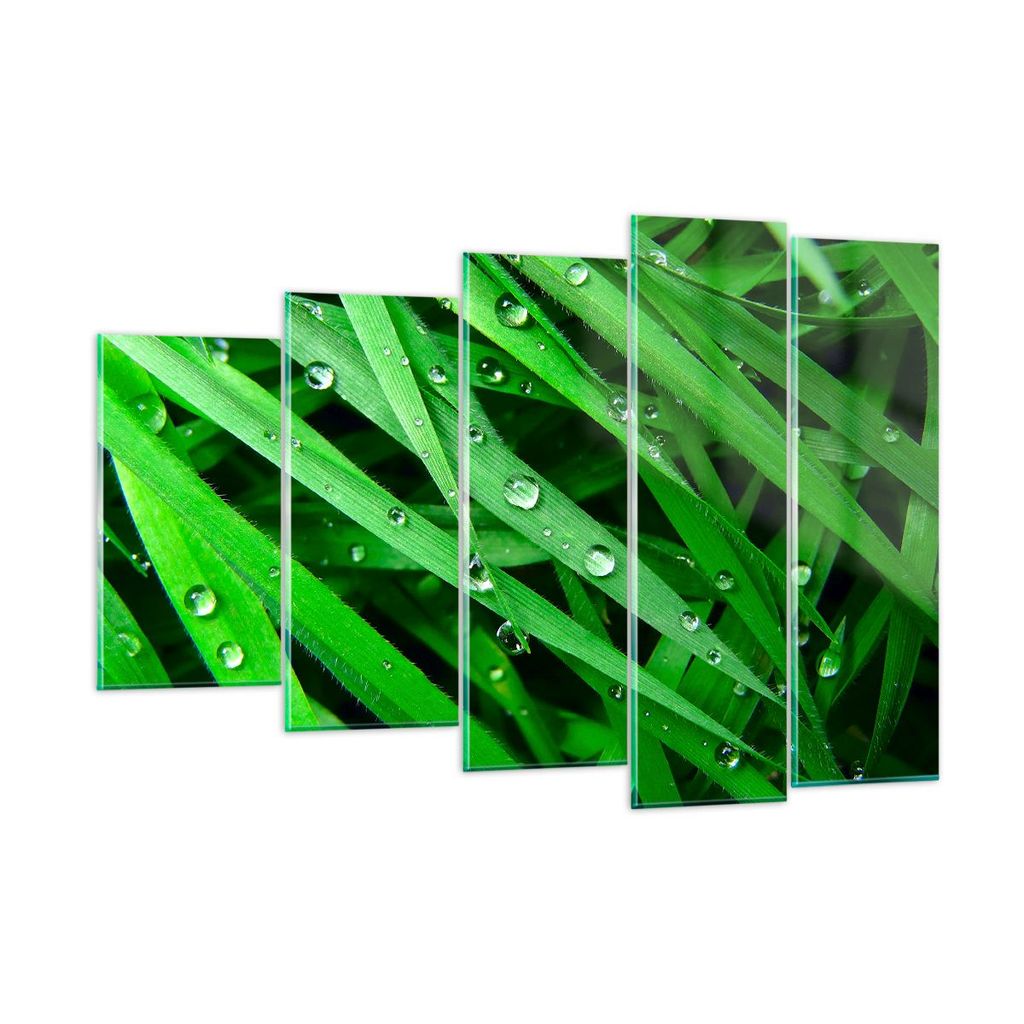 Bilder auf glas - Natur Gras Wasser Tropfen - 150x100cm - Glasbilder - Wandbilder - Kunstdruck - zum Aufhängen bereit - Wanddekoration aus Glas - ...