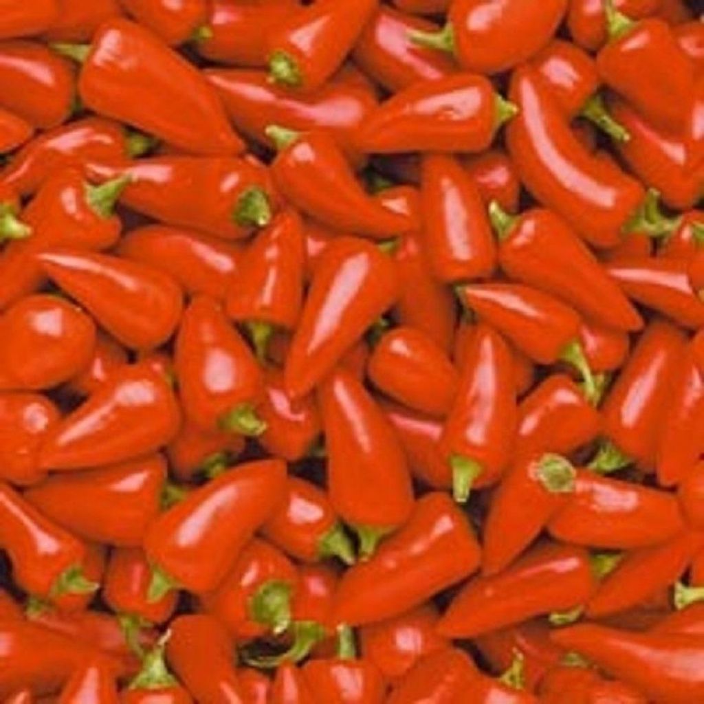 20 Lunch Servietten 33X33Cm Chilli Robert Charles