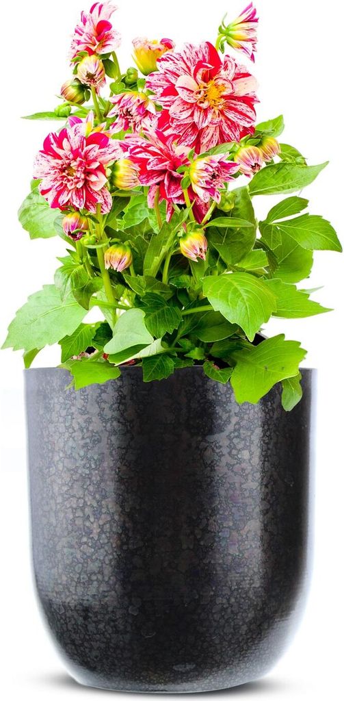 Übertopf aus Metall Pflanzentopf Blumenkübel Blumenübertopf Vase Blumenvasen Blumentopf(Dunkel)