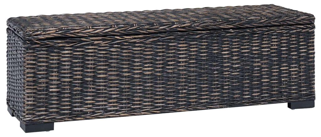 Aufbewahrungsbox mit Speicher Schwarz 110 x 35 x 45 cm