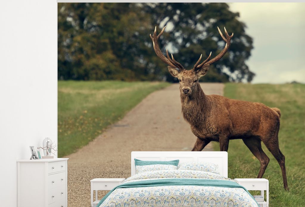 MuchoWow Fototapete für Wohnzimmer oder Schlafzimmer Wandtapete Vinyl Motivtapete Hirsche - Grün - Gras - 275x220 cm - Gemustert