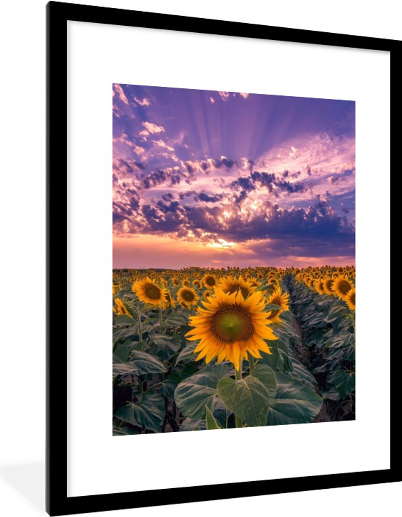 MuchoWow® Gerahmtes Poster Blumen - Himmel - Lila - Produktbild 