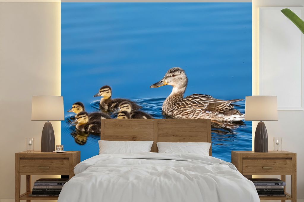 MuchoWow Fototapete für Wohnzimmer oder Schlafzimmer Wandtapete Vinyl Motivtapete Ente - Wasser - Vogel - Braun - 300x300 cm - Wanddekoration