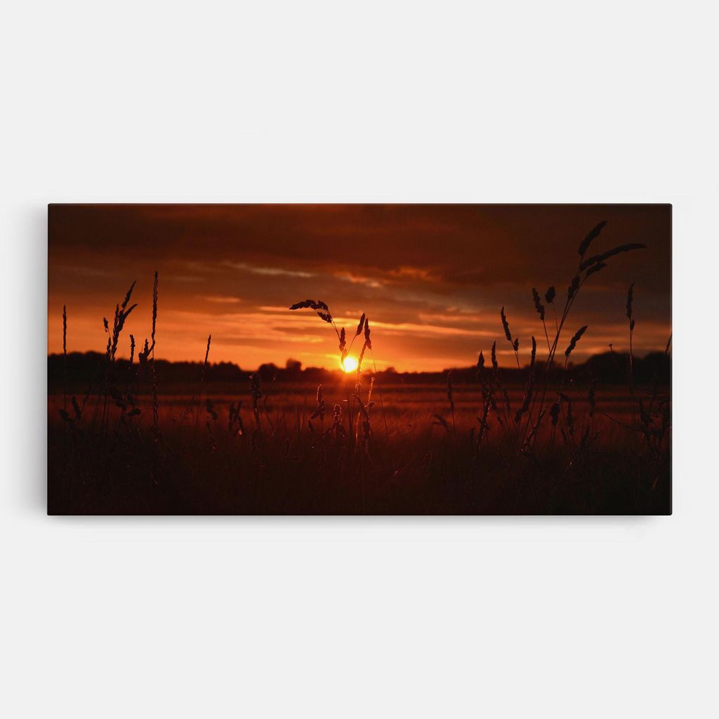 ARTHUB Leinwandbild 60x120 cm, Field Shilouette | Wohnzimmerdekoration, Hängende Bilder, Wanddekoration, Heimdekoration, Landschaften, Sonnenunt...