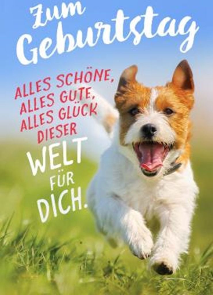 Depesche 3D Foto Klappkarte 029 Zum Geburtstag alles Schöne