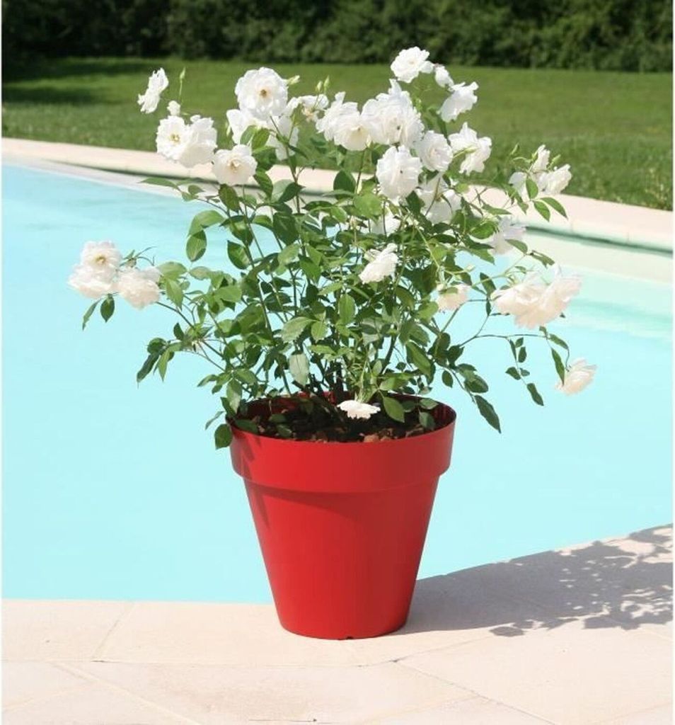 Riviera Topf 414056 Ø 39,2 x 35,8 cm Rot Produktbild 