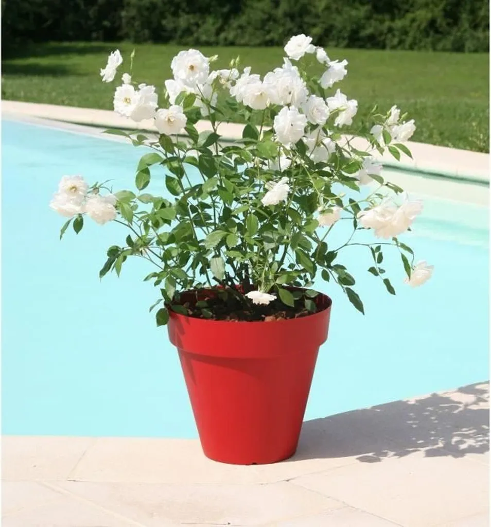 Grand pot de fleurs rond RIVIERA 49 cm coloris rouge foncé pour extérieur