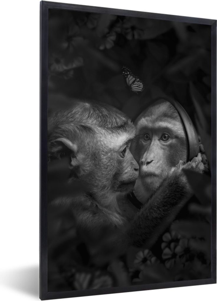 MuchoWow Gerahmtes Poster Affe mit Spiegel im Dschungel - schwarz und weiß 40x60 cm - Poster mit Schwarzem Bilderrahmen Wandposter Rahmen Foto B...