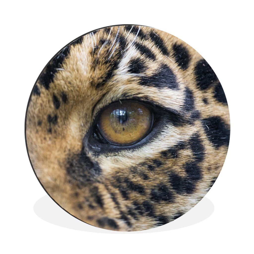 MuchoWow Aluminium Wandkreis Auge - Jaguar - Braun Ø 90 cm Wanddeko Modern Wohnzimmer - Mauerkreis - Wandbilder - Runde Bild - Bild aus Aluminiu...