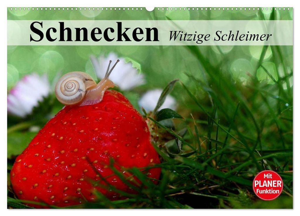 Schnecken. Witzige Schleimer (Wandkalender 2027 DIN A2 quer), CALVENDO Monatskalender