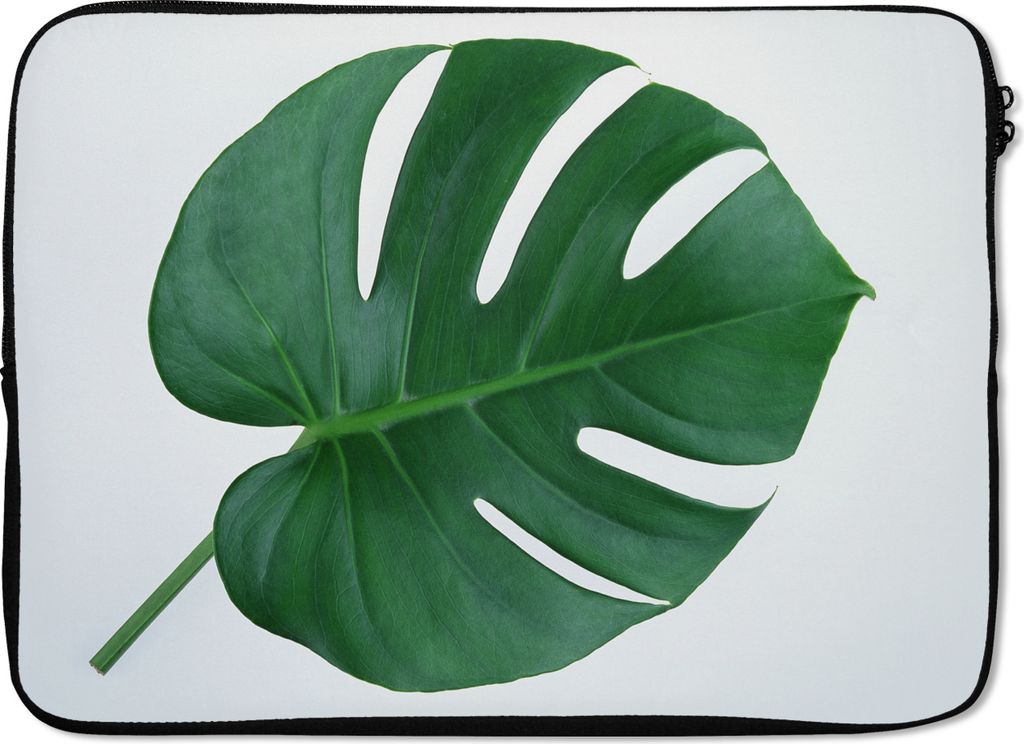 MuchoWow Laptop Hülle 13 Zoll Botanische Lochpflanze auf einem hellgrauen Hintergrund Laptoptasche - Laptophülle - Sleeve - Rundumschutz