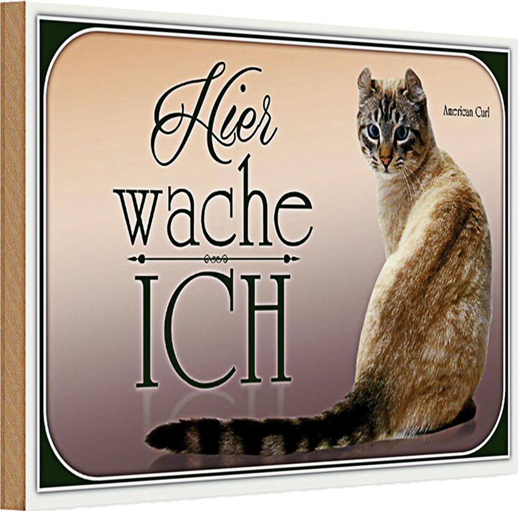 Holzschild Katze 30x20cm American Curl hier wache ich