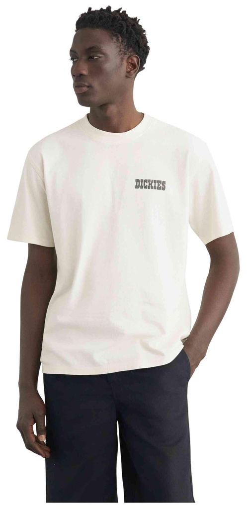 T-shirt Dickies DK0A883BC481 da Uomo Immagine del prodotto 