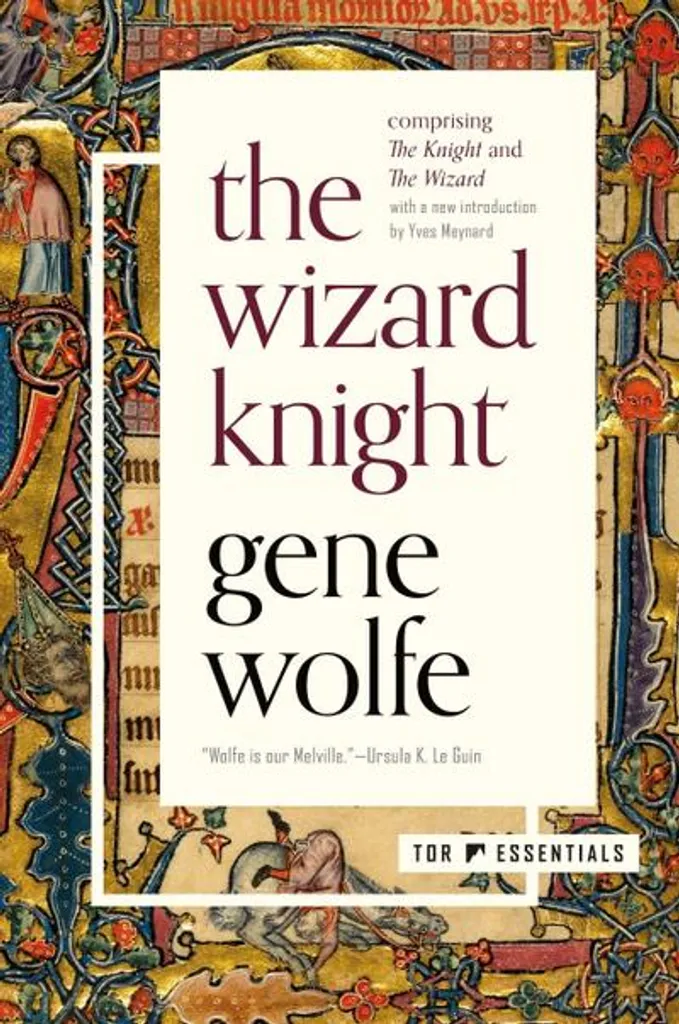 Déguisement The Wizard Knight : costume enfant avec armure et cape bleue