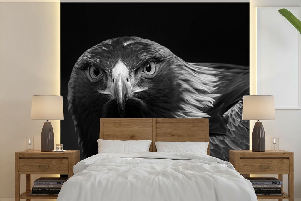 MuchoWow Fototapete für Wohnzimmer oder Schlafzimmer Wandtapete Vinyl Motivtapete Bussard - Vogel - Tiere - Schwarz - Weiß - 300x300 cm - Wandd...