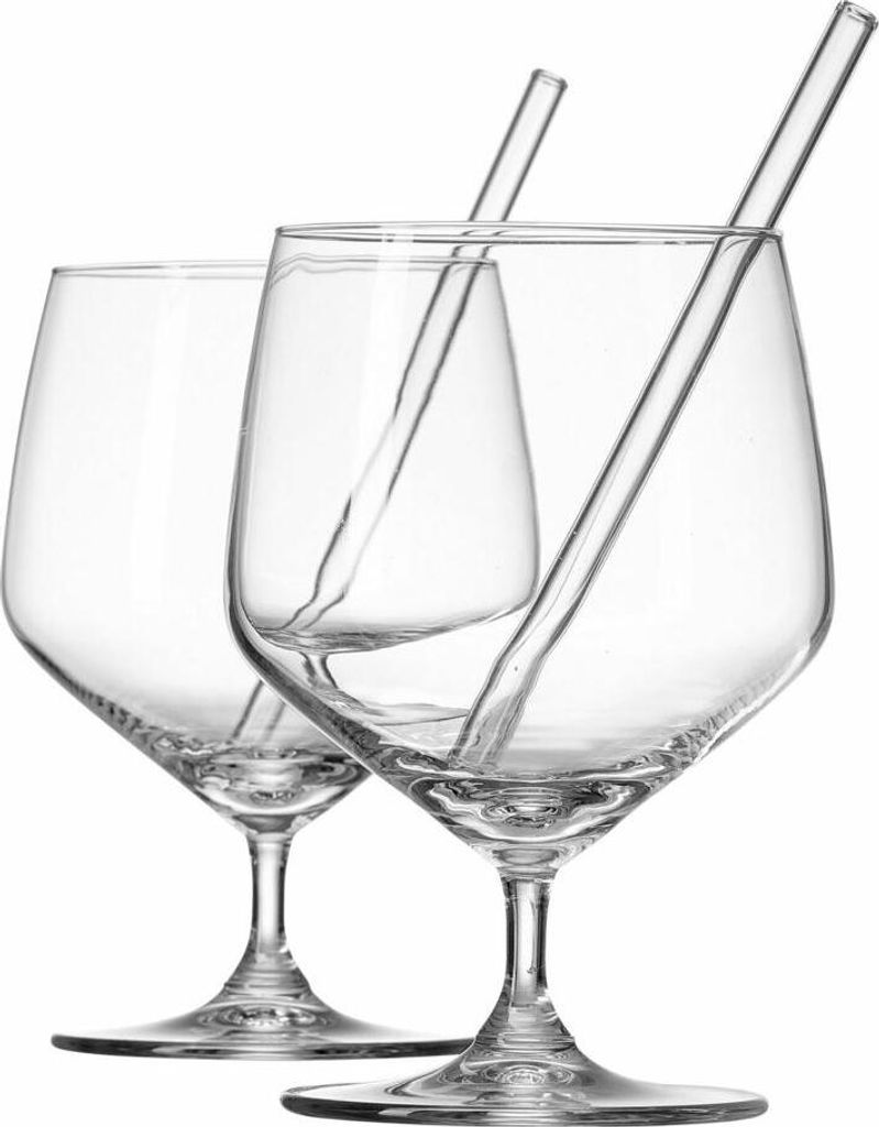 Ritzenhof und Breker Ginglas 650ml mit Trinkhalm aus Glas 2er Set