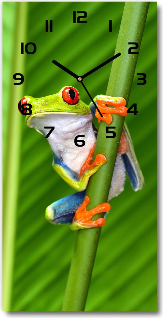 Wanduhr aus Glas – 30x60 cm - Glasbild - Glasuhr - Gehärtetes Glas -Laubfrosch