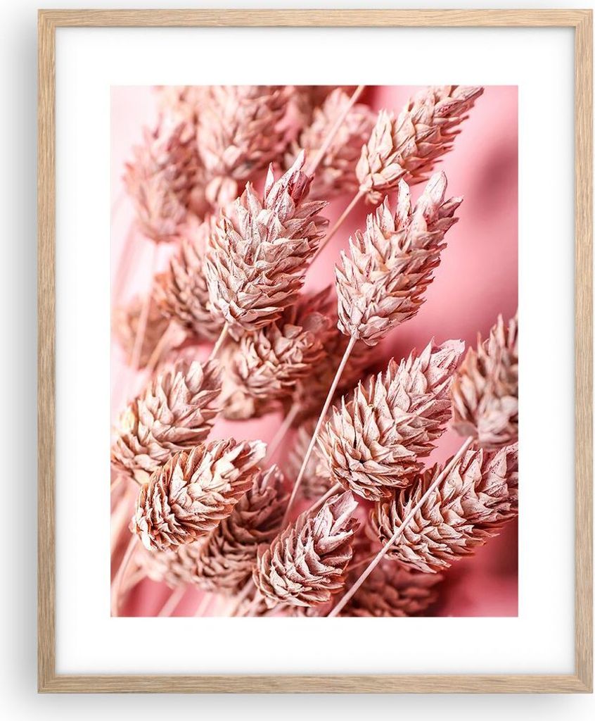 Gerahmtes Poster - Rahmen in heller Eiche - Klinge Gras getrocknet - 40x50 cm - Wand Bild - Wanddeko - Wandbilder - Kunstposter - Wandposter - Bild...