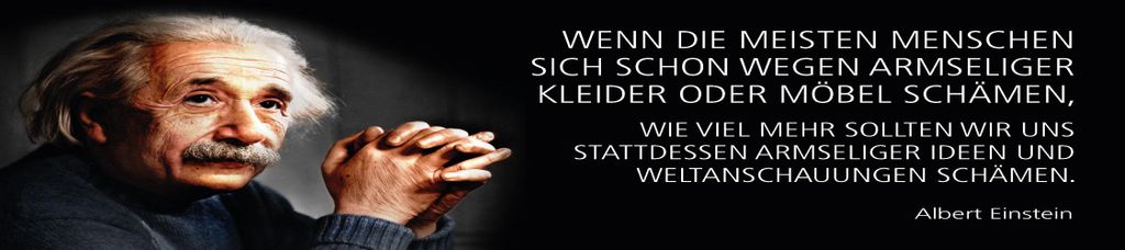vianmo Holzschild 10x46 cm Einstein Zitat Armseliger Ideen schämen