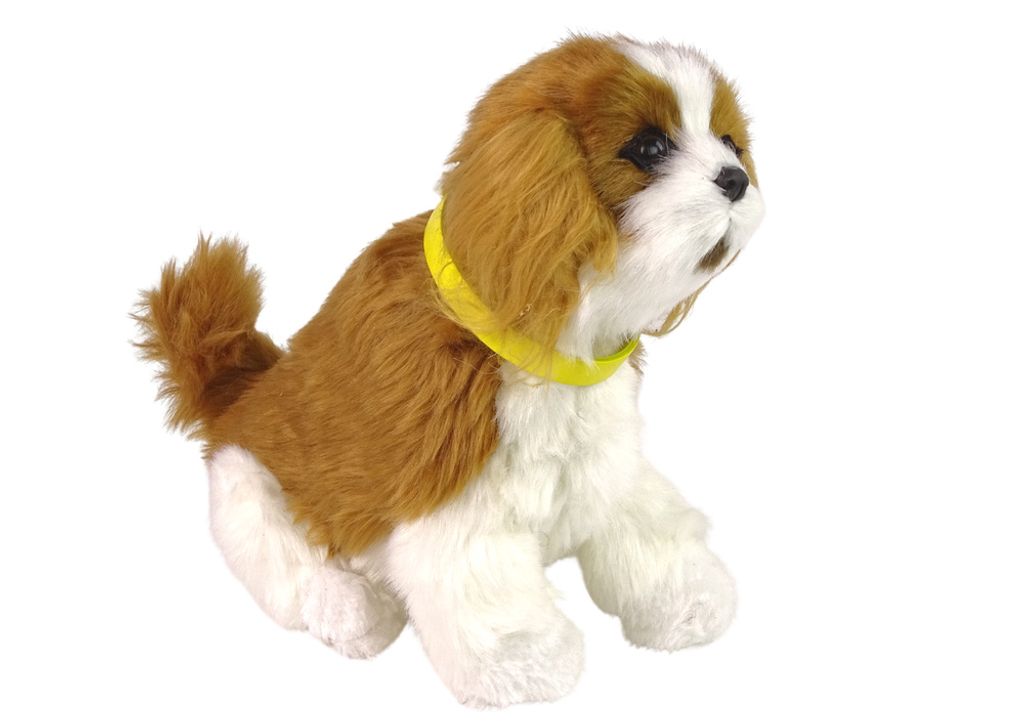 Lean Toys Interaktiver Plüschhund Weiches Fell Cavalier-Rasse Streicheln Sie seinen Kopf und lernen Sie seine Funktionen kennen