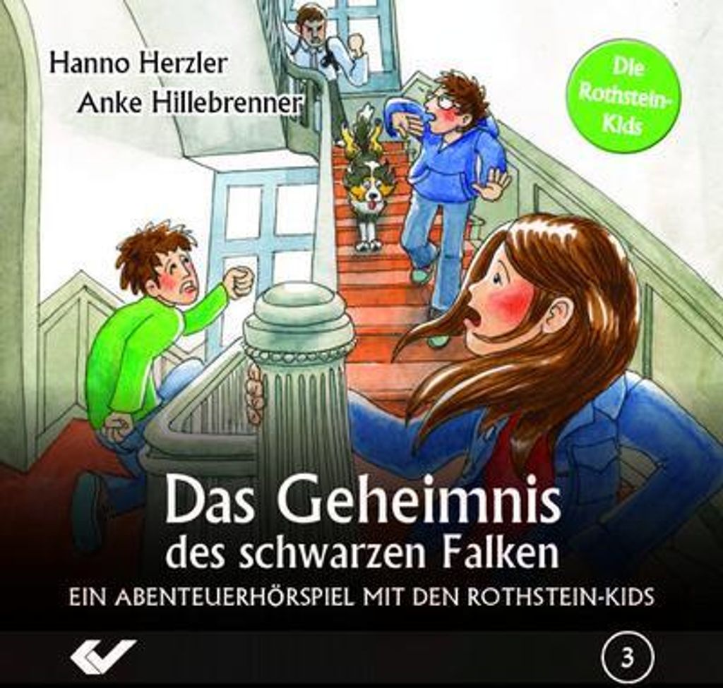 Die Rothstein-Kids, Das Geheimnis des schwarzen Falken, Audio-CD