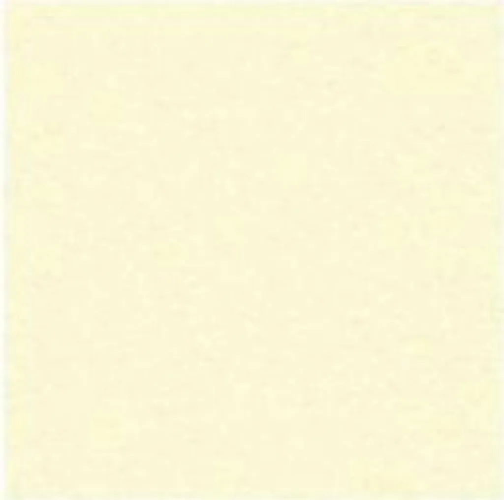 Carton bristol A1 crème anti-gondolage Galerie 4917 lot de 20 feuilles