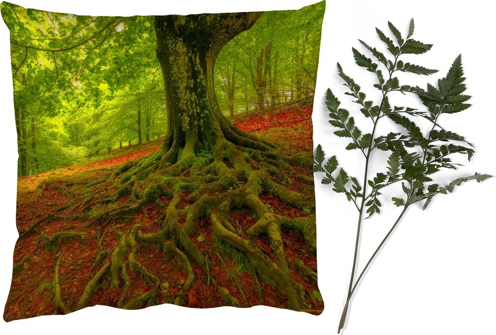 MuchoWow® Zierkissen Sofakissen Wohnzimmer Dekokissen 50x50 Produktbild 