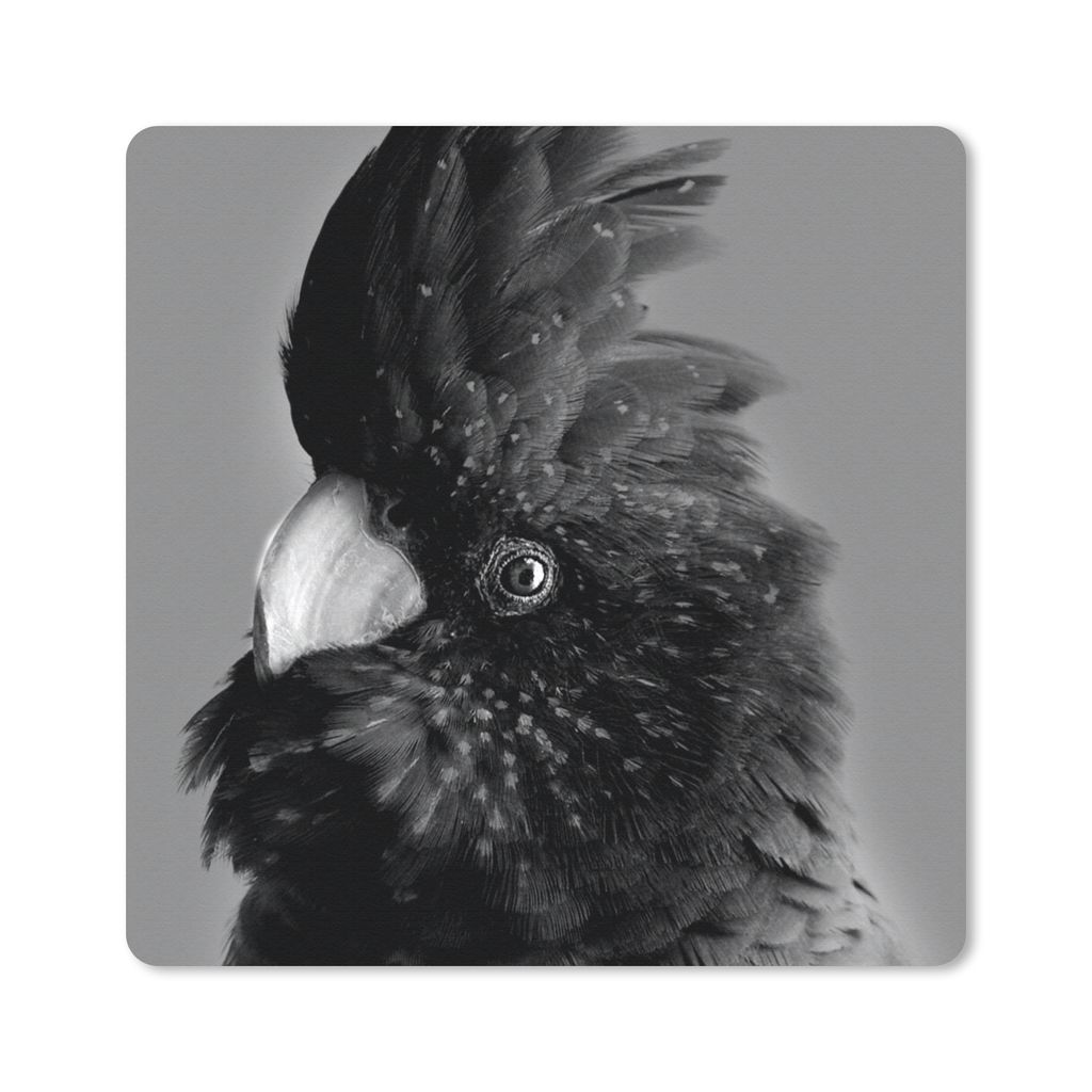 MuchoWow Mauspad Mousepad Nahaufnahme eines Kakadus vor gelbem Hintergrund - schwarz und weiß 30x30 cm - Mousepads - Maus Mat - Pad - Mausunterl...