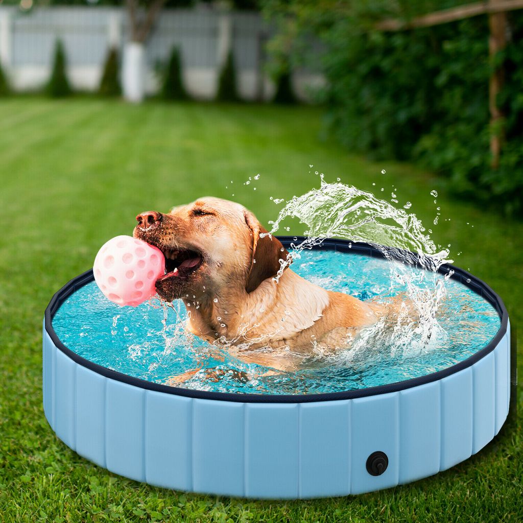 lægemidlet Caroline Fælles valg Hundepool Schwimmbad für Hunde Swimmingpool | Kaufland.de