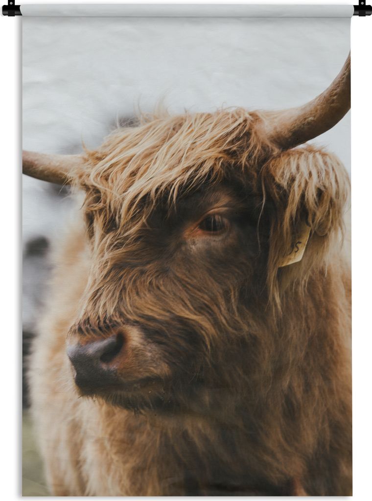 MuchoWow Wandteppich Wandbehang Schottischer Highlander - Tiere - Hörner 90x135 cm Tapisserie Dekoration Wandtuch - Baumwolle - Wandskulptur