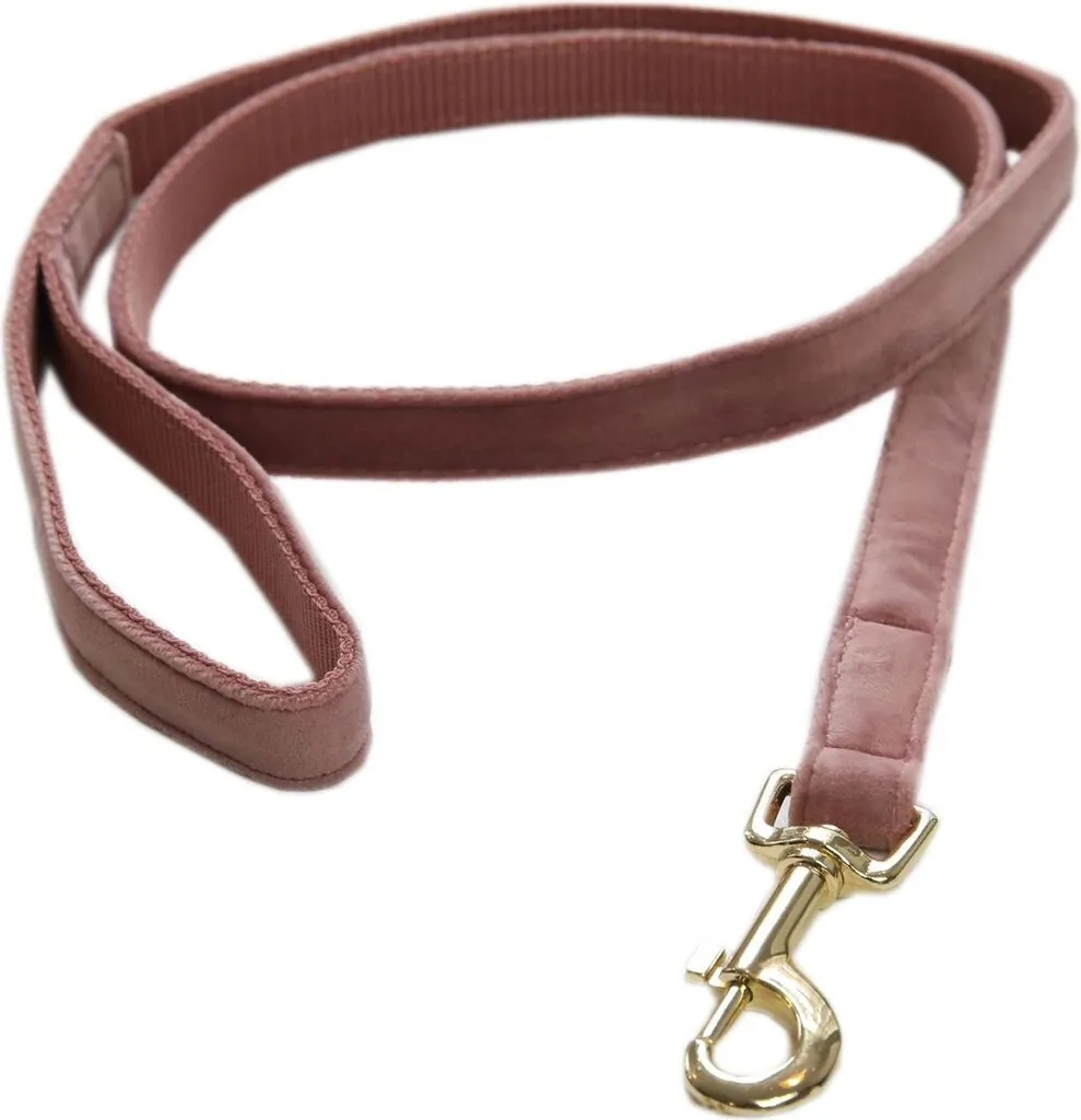 Guinzaglio 2 metri Kentucky Dogwear | Velluto Morbido per Cani Felici