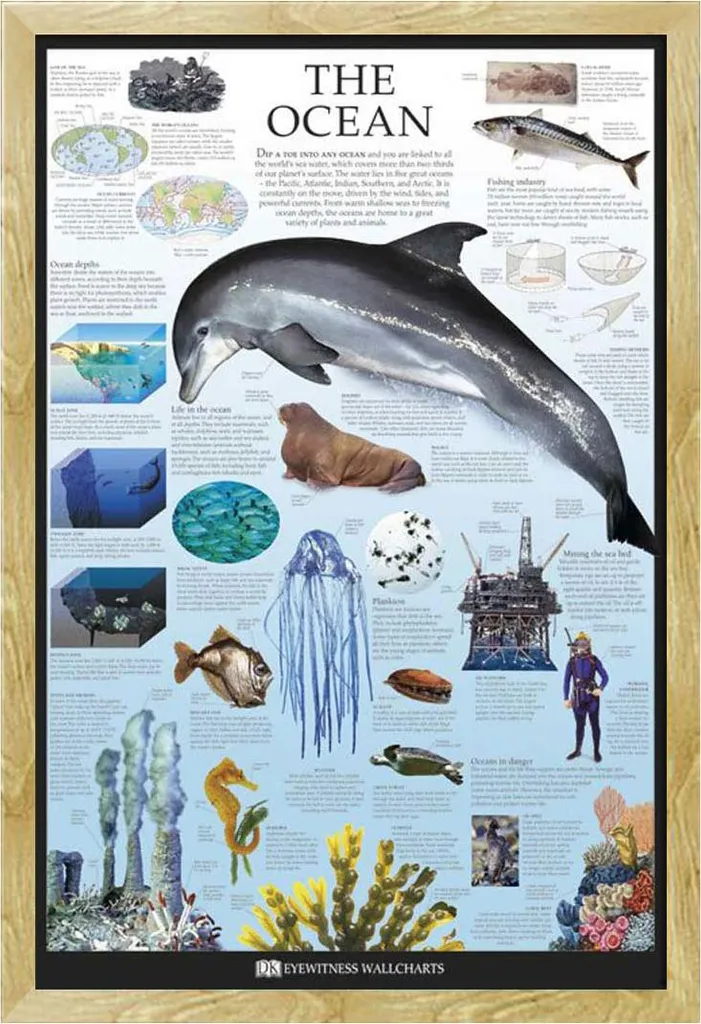 Poster Oceano Dorling Kindersley con Cornice Shinsuke Maxi MDF Faggio