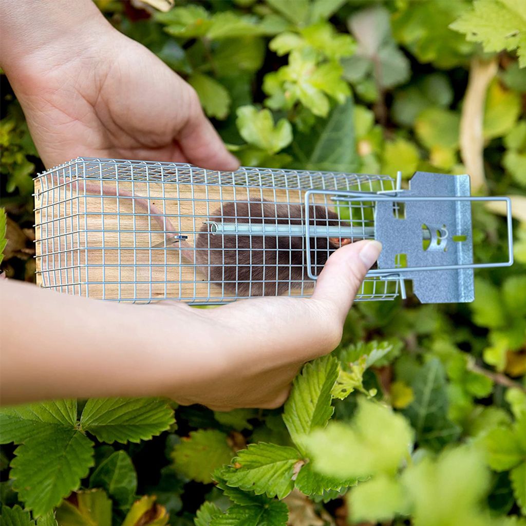 2 Stück Garten Mausefalle Live für drinnen & Kaufland.de