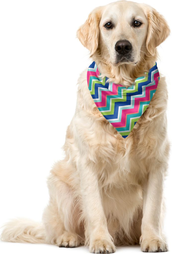 ABAKUHAUS Bunt Haustier Bandana, Bunte Chevron-Linien, 40x40 cm, Mehrfarbig