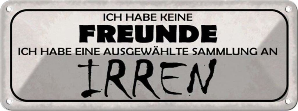 vianmo Blechschild 10x27 cm keine Freunde Sammlung an Irren Spruch Zitat