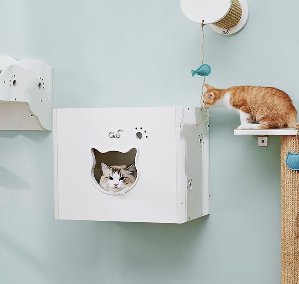 CatS Design Kletterwand große Katzen stabil Wandkratzbaum Produktbild 