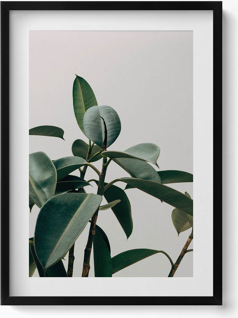 Grünpflanze im minimalistischen Stil– Wandbild mit Rahmen – Gerahmtes Bild – Wanddekoration – 50x70 cm – Schwarz Rahmen