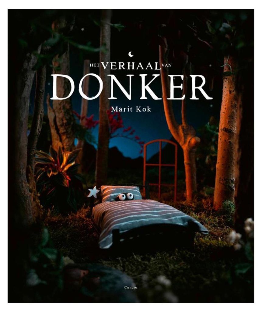 Die Geschichte der Dunkelheit von Marit Kok: Ein Kinderbuch über die Überwindung der Angst vor der Nacht