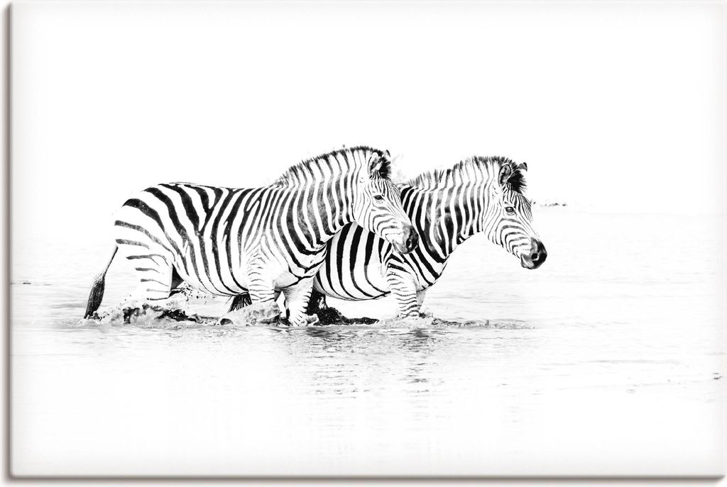 ARTland Leinwandbild Zebras parallel im Wasser Größe: 60x40 cm