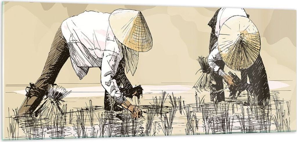 Bilder auf glas - Reis Asien Feld Wasser - 100x40cm - Glasbilder - Wandbilder - Kunstdruck - zum Aufhängen bereit - Wanddekoration aus Glas - Glas...